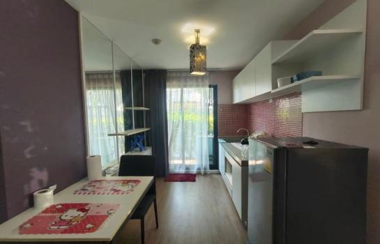 �ҧ�� �� �����ԡ�