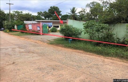 ��¡���Թ��� �� panaya.opalopal