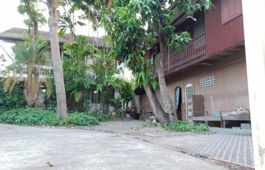 ������ �� rattana27