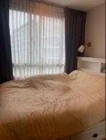 �����Ҥ͹������� �Ҥһ�С�������� 12,500 �ҷ/��͹