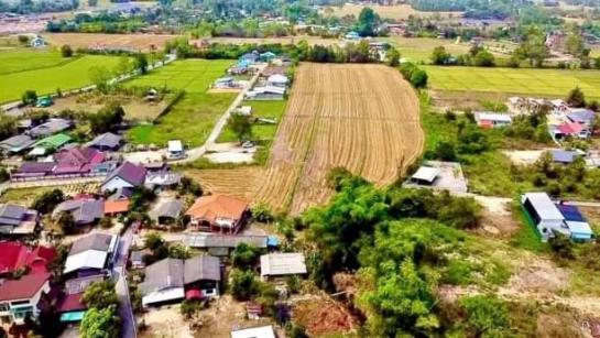 ������� �� onanong khumaphao