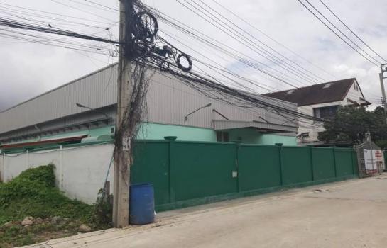 ������ �� asangha PL