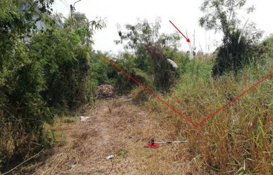 ��¹������ �� compos2566