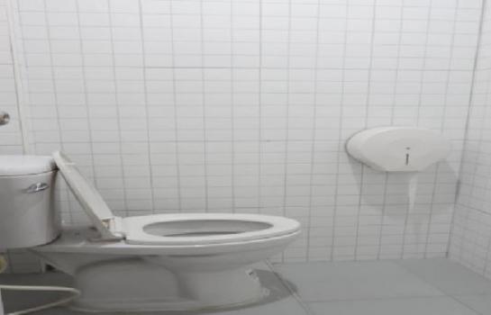 �Ҥ�þҳԪ��ҧ���� �ҧ����