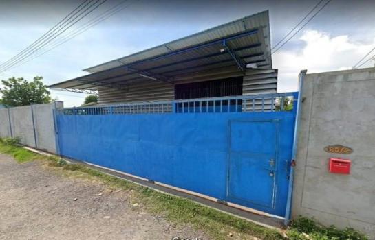 �ҧ�ع��¹ �� Pukpik.TNC