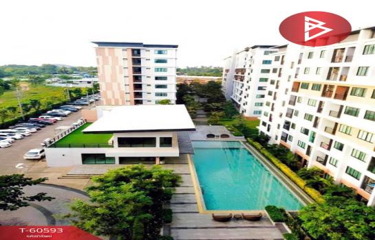 ����Ҫ� �� The Best Property Agent