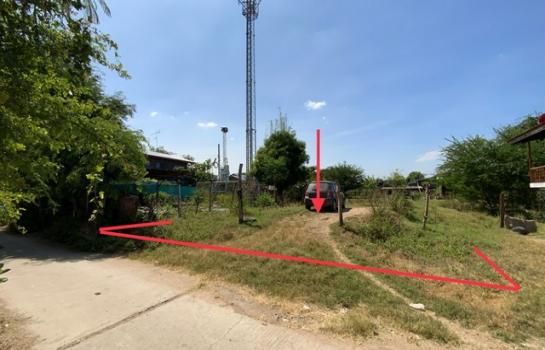 ���ž���� �� panaya.opalopal