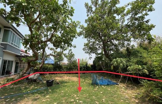 ž���� �� panaya.opalopal