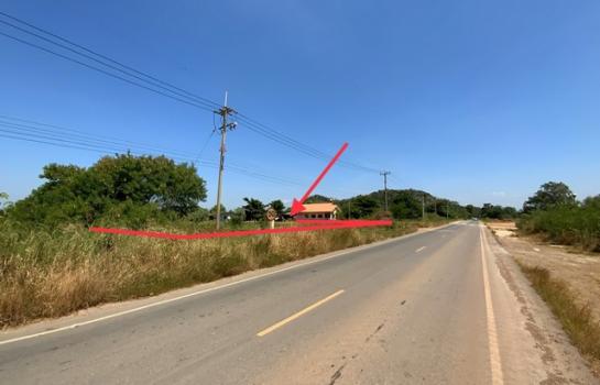 ���ž���� �� panaya.opalopal