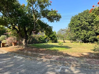 ������ �� onanong khumaphao