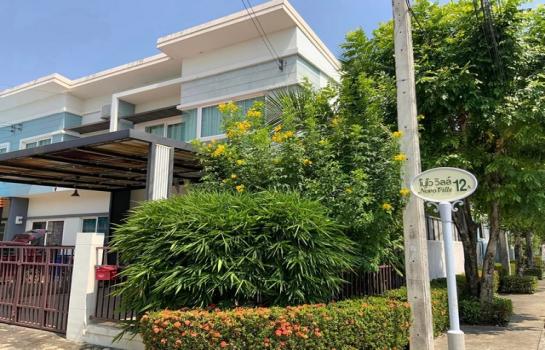 ��»����ҹ� �� may