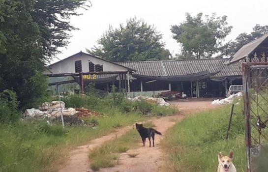 ��¡���Թ��� �� panaya.opalopal