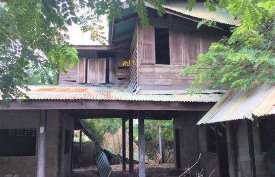 ��¡���Թ��� �� panaya.opalopal