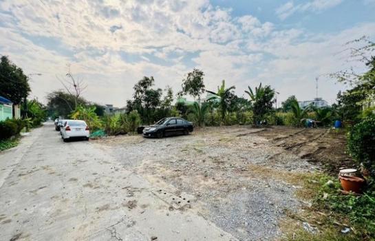 ��ا෾ �� kongpl