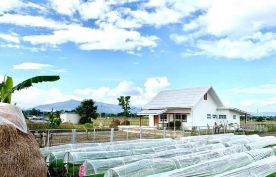 ����ҧ �� onanong khumaphao