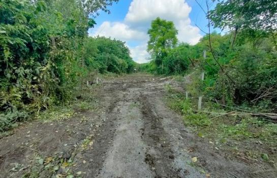 �����к��� �� panaya.opalopal