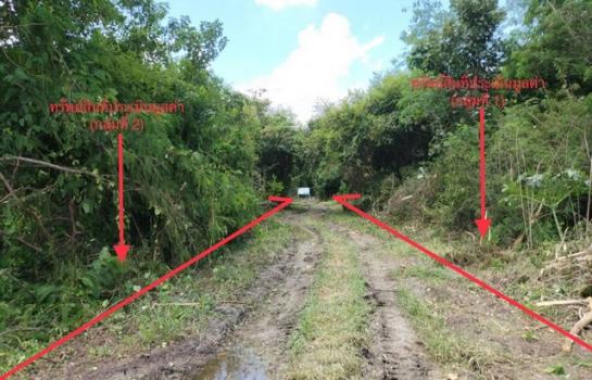 �����к��� �� panaya.opalopal