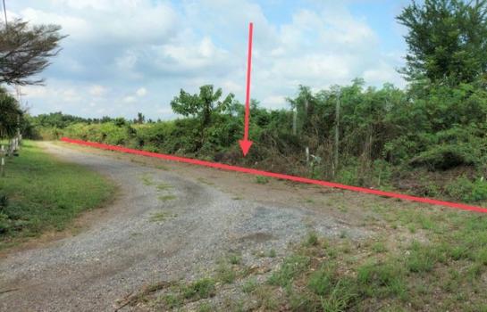 �����к��� �� panaya.opalopal