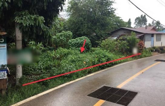 ������ �� compos2566