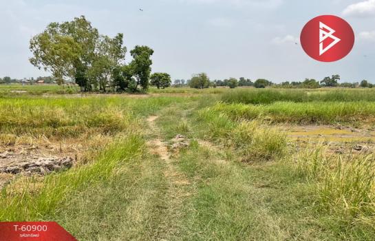 ��ɳ��š �� The Best Property Agent