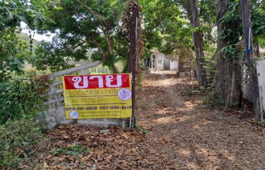 ����ӻҧ �� zionasset1