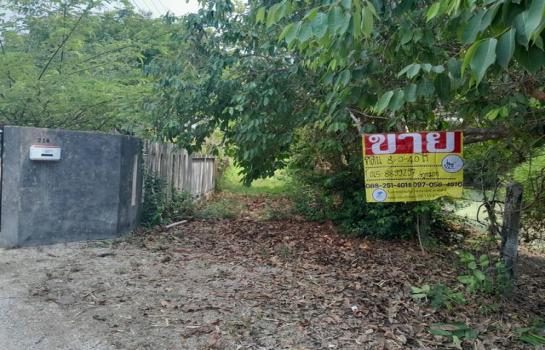 ����ӻҧ �� zionasset1