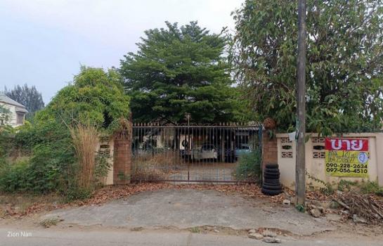 ������ �� zionasset1