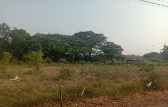 �ҡ �� zionasset1