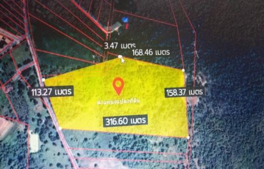 �ҡ �� zionasset1