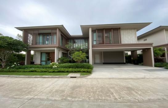 �ҧ�л� �� �����ԡ�