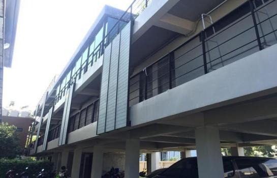 ��»����� �� asangha PL