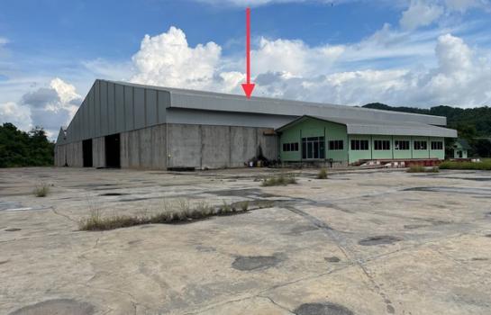 ��ҹ��е��� �� compos2566