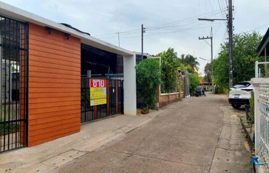 ˹ͧ��� �� zionasset1