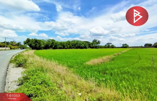 ��û�� �� The Best Property Agent