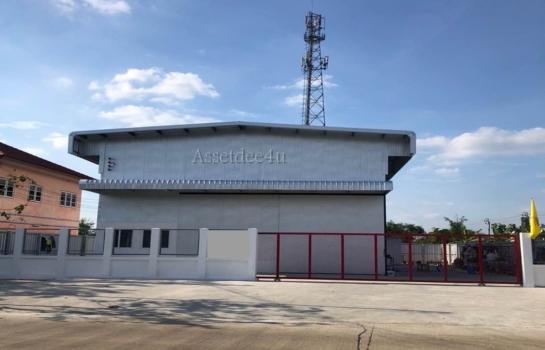 ����Ѳ�� �� AssetD4U