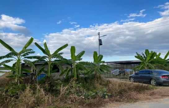 �ѹ��ᾧ �� northern1