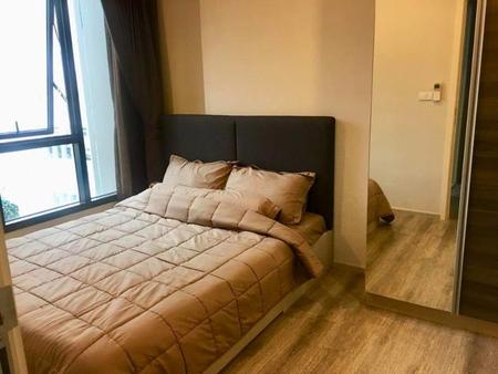 ��¾��� �� incube