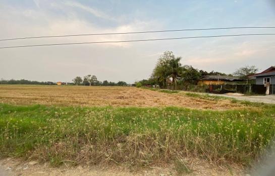 �ѹ��ᾧ �� onanong khumaphao