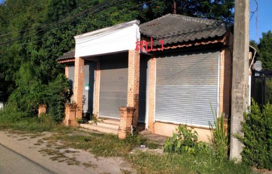 �ѹ��ҵͧ �� panaya.opalopal