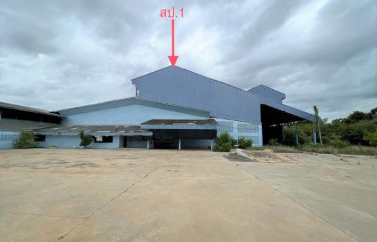 ��¹ҷ �� panaya.opalopal