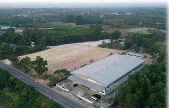 �����Ҫź��� �� asangha PL