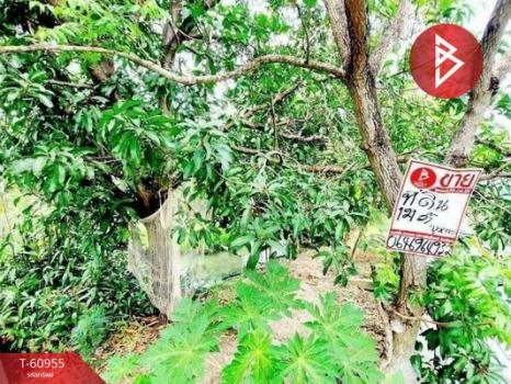 ��ا෾ �� The Best Property Agent