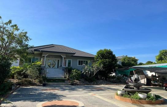 ��ҹ����� �� Sawasdee