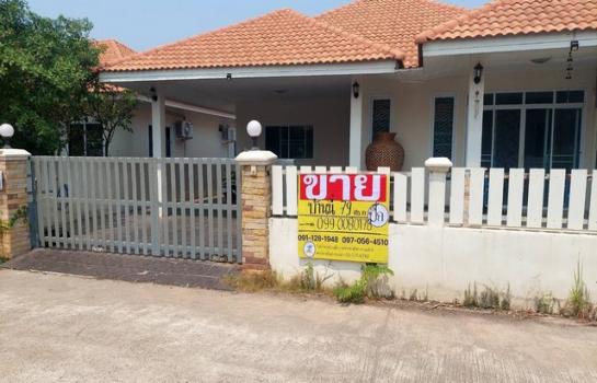 ��ҹ⾸�� �� zionasset1