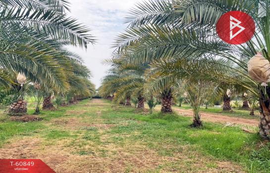 ��ɳ��š �� The Best Property Agent