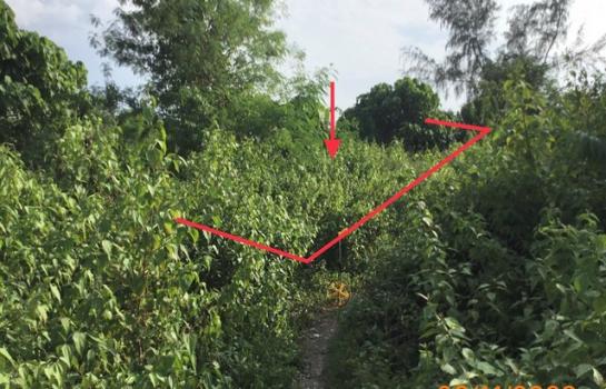 ��к�� �� compos2566