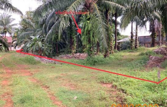 ��к�� �� compos2566