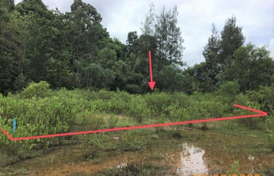 ��к�� �� compos2566