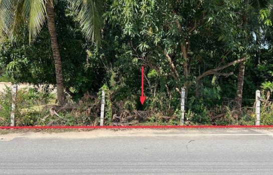 ����ط�¸ҹ� �� panaya.opalopal