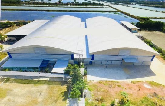 �ç�ҹ 9 ���